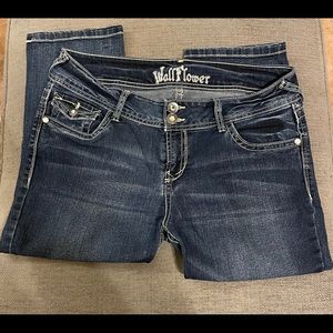 Wallflower Denim Capri pants 13